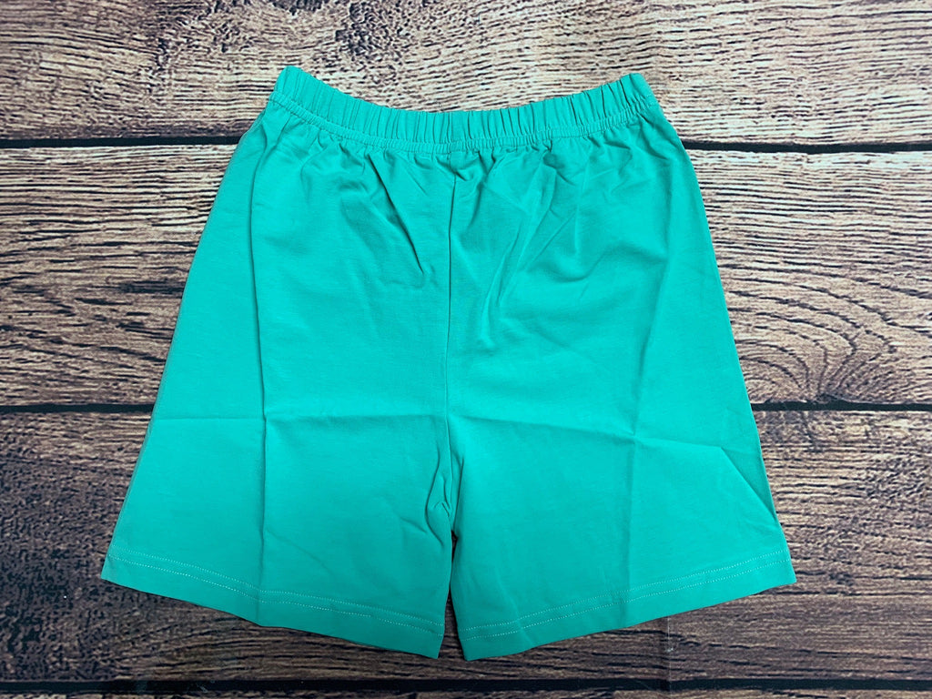 Boy's mint knit shorts (6m,9m,12m,8t)
